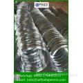 Export Brazil Paraguay Uruguay Oval Steel Wire